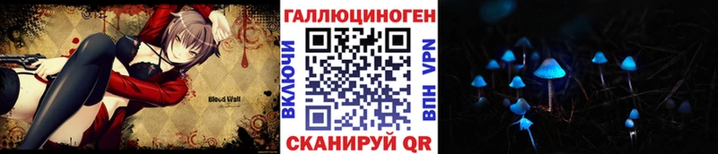Псилоцибиновые грибы мицелий Санкт-Петербург